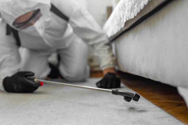 Professional Bed Bug Control technician working in Cudjoe Key, FL