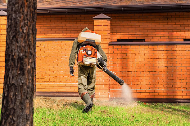Trusted Rodent Control service in Cudjoe Key, FL - Nex Pest Control